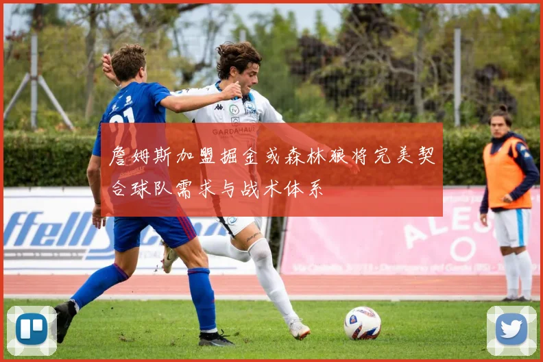 詹姆斯加盟掘金或森林狼将完美契合球队需求与战术体系